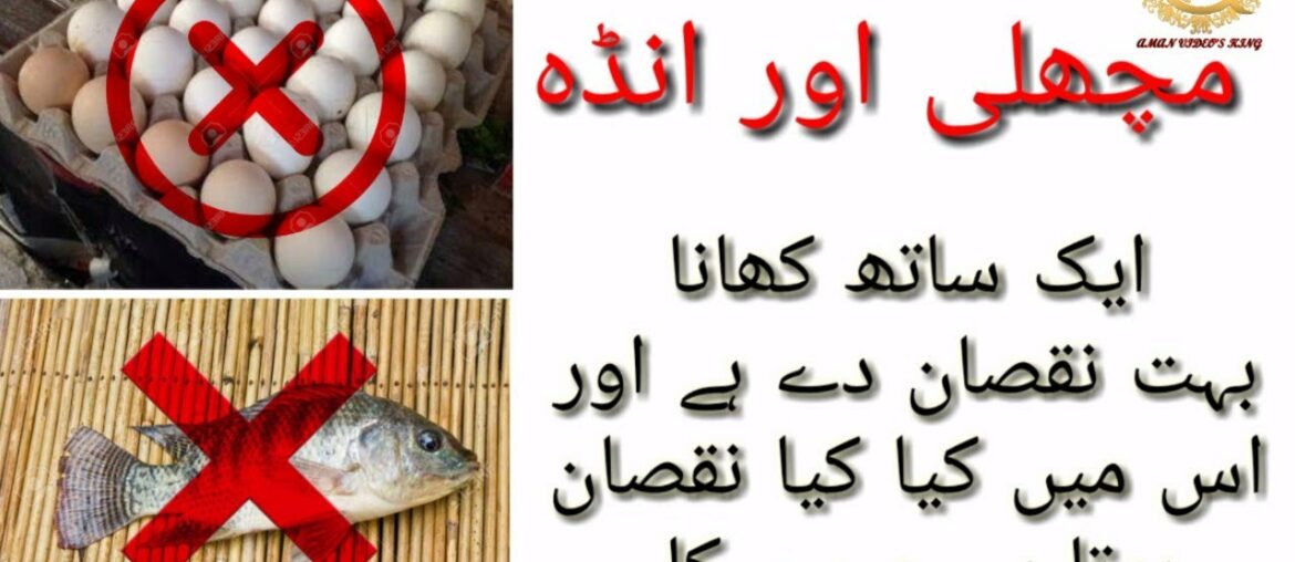 Machli Or Andah Khany ka Nuqsan  Urdu Language Main Health Tips Fish And Egg 2020