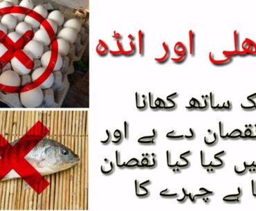 Machli Or Andah Khany ka Nuqsan  Urdu Language Main Health Tips Fish And Egg 2020