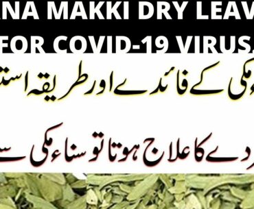 SANA MAKKI DRY LEAVES FOR COVID-19 VIRUS IN HINDI/URDU.