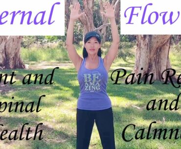 Internal Flow #4 - Joint & Back Pain Relief, Prevent or Reduce Arthritis Pain, Core Focus & Calmness