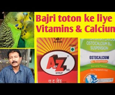 Calcium & vitamin syrup for Australian parrots | Ostocalcium & A2Z bajri toton ko kaise dena he