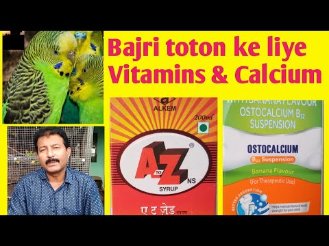 Calcium & vitamin syrup for Australian parrots | Ostocalcium & A2Z bajri toton ko kaise dena he