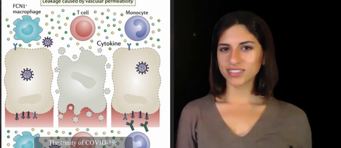 Modelling COVID-19 Infection and Immune Response Using Virtual Tissues (CompuCell3D)