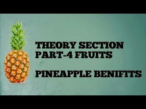 Theory Section Part-4 || Fruits || Pineapple Benifits