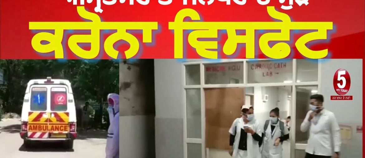 Covid 19 again attack on amritsar and Jalandhar| Found more positive patients|Punjab News|India News