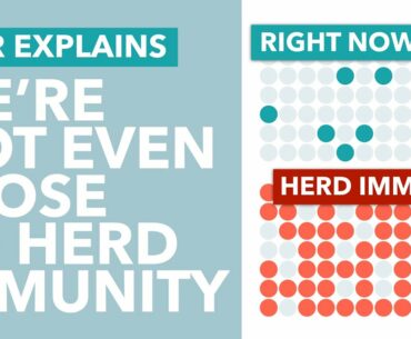Why We're Not Achieving Coronavirus Herd Immunity & How it Impacts a 2nd Wave - TLDR News