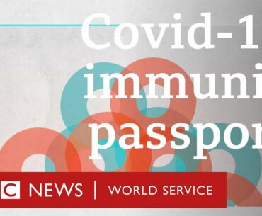 Coronavirus: Can 'immunity passports' help us get back to normal? - BBC World Service