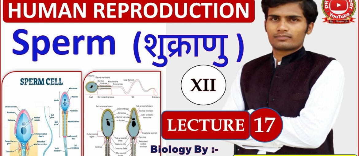 Human Reproduction Lecture - 17 |12th/NEET/AIIMS/DIPLOMA| Female Reproductive System |DK SIR BIOLOGY