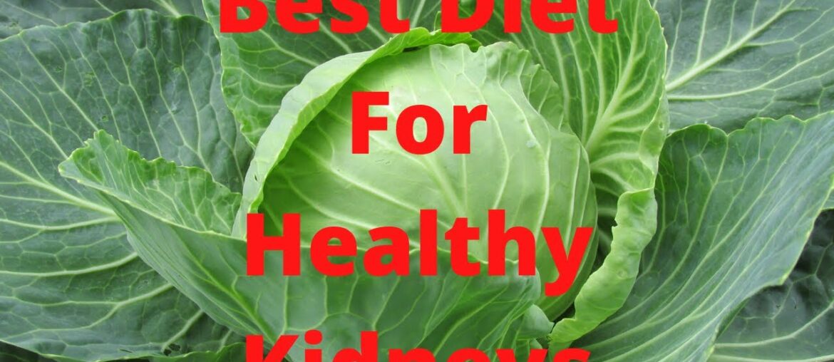 13 Foods for Healthy KIDNEYS