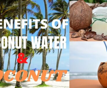 7 ADVANTAGES OF COCONUT WATER| MEDICINAL BENEFITS OF COCONUT