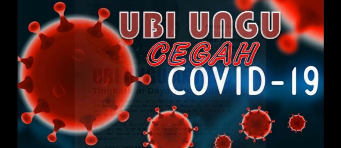 Ubi Ungu Tangkal Covid-19