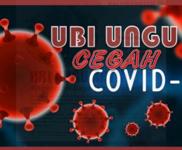 Ubi Ungu Tangkal Covid-19