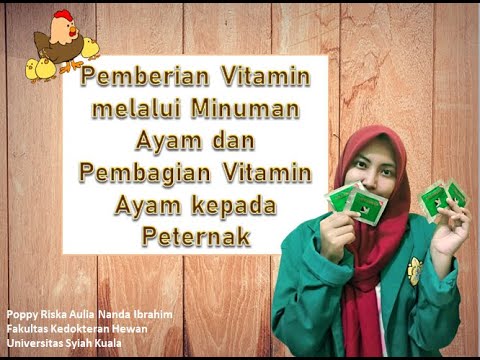 [PROGRAM PENDUKUNG KKN] PEMBERIAN VITAMIN AYAM DIIKUTI DENGAN PEMBAGIAN VITAMIN KEPADA PETERNAK AYAM