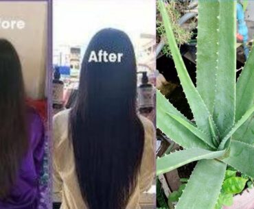 Aloevera Gel + Vitamin E Oil Hair Growth to Long Hair - aloe vera and vitamin e for hair growth