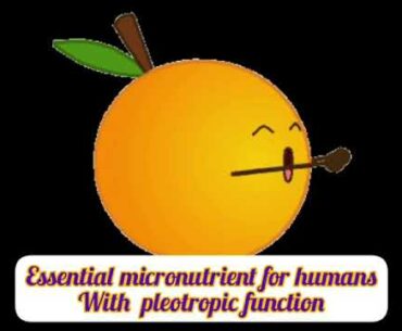 Vitamin C and immunity # Nutritionmatters #immunity