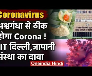 Giloy, Ashwagandha, Tulsi | To Protect  us From Coronavirus | Boost Your Immune System Naturally