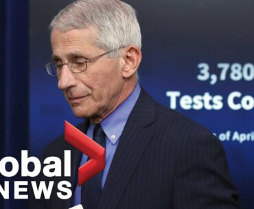 Coronavirus Outbreak: Dr. Anthony Fauci, task force members in self quarantine