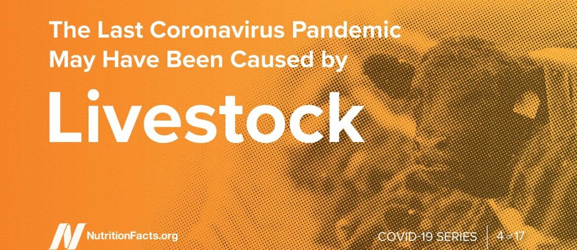 The Last Coronavirus Pandemic May Have Been Caused by Livestock