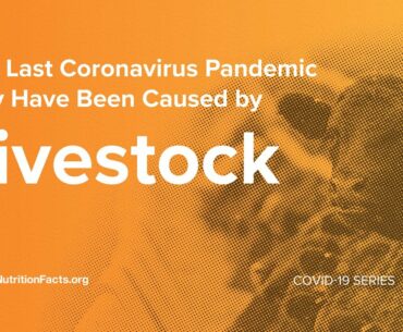 The Last Coronavirus Pandemic May Have Been Caused by Livestock