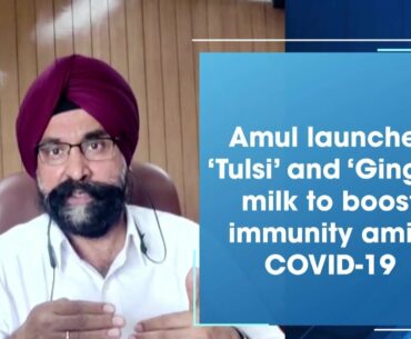 Amul launches ‘Tulsi’ and ‘Ginger’ milk to boost immunity amid COVID-19