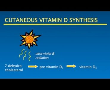 Vitamin D Sunshine Optimal Health: Putting it all Together