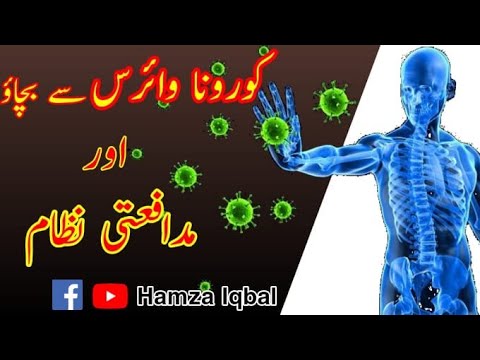 Corona Virus and Immunity | How to avoid corona virus | 010-Hamza Iqbal
