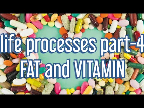 Class 10 chapter 6, life processes part-4 Nutrition fat and vitamin