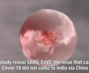 Coronavirus in India originated from EU, Middle East: Study