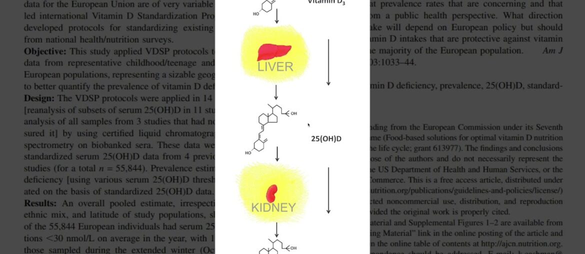 Coronavirus Pandemic Update 82 Racial Disparities with COVID 19 Vitamin D 1080p MUX