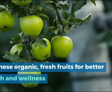 Eat Organic Fresh Fruits for Better Health and Wellness - Gratitude Farms