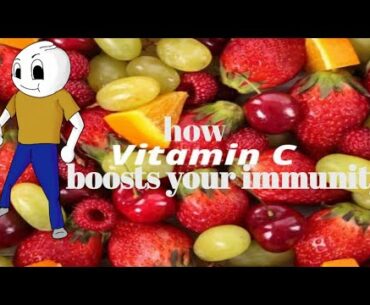 vitamin C the real Juggernaut of immune system