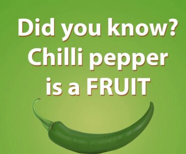 Chilli Pepper or Green Chilli - Health Benefits and Nutritional value of its key nutrients