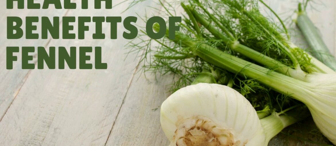 Health Benefits an Nutrition Facts Of Fennel Per 100G - Vitamins, Iron, Calcium, Protein and More.