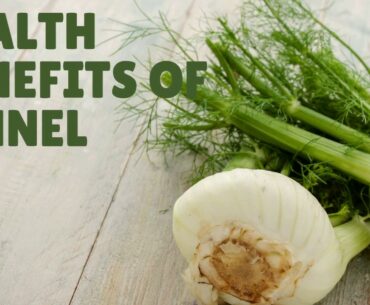 Health Benefits an Nutrition Facts Of Fennel Per 100G - Vitamins, Iron, Calcium, Protein and More.