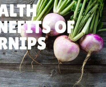 Health Benefits and Nutrition Facts Of Turnips Per 100G - Vitamins, Iron, Calcium, Protein.