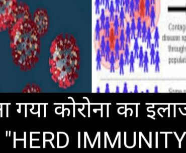 What Is HERD IMMUNITY?? How Herd Immunity May Protect Us From COVID:19||