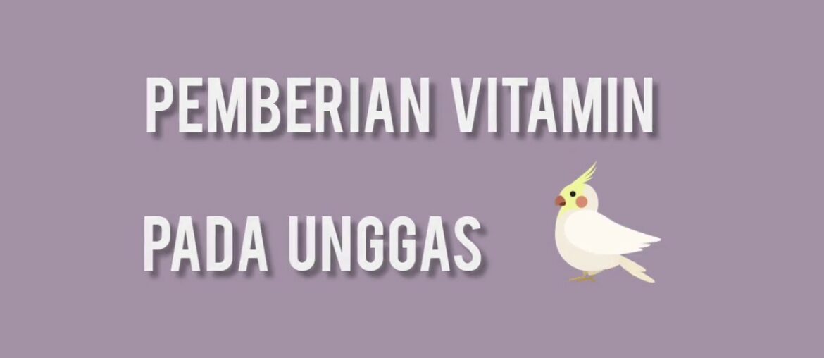 PEMBERIAN VITAMIN PADA UNGGAS [KKN TEMATIK COVID-19 UNSYIAH]