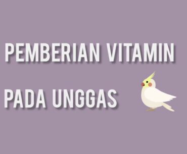 PEMBERIAN VITAMIN PADA UNGGAS [KKN TEMATIK COVID-19 UNSYIAH]