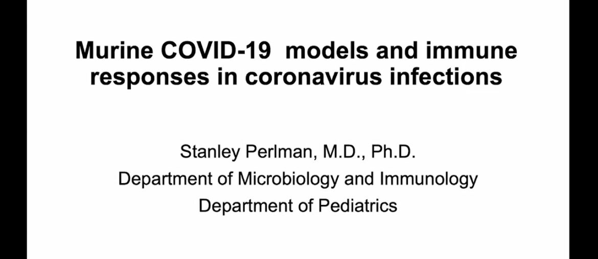 Infectious Disease and Microbiome Program Meeting: Immune Responses in coronavirus infections