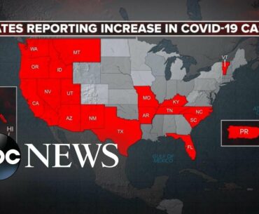 New coronavirus hotspots emerge as state cases spike amid reopening l ABC News