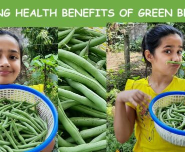 Health benefits of green beans | Amazing Green beans | Interesting Facts about green beans