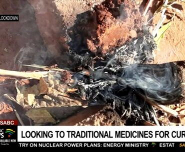 COVID-19 I Khoisan traditional healers looking to help in the fight against coronavirus