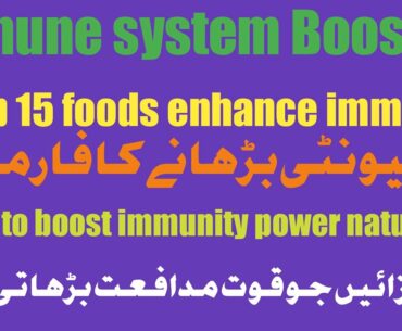 HOW TO BOOST IMMUNITY- FOODS- WHAT TO EAT TO BOOST IMMUNITY IMMUNE HEALTH VIRUS FLUE IMMUNITY GINGER