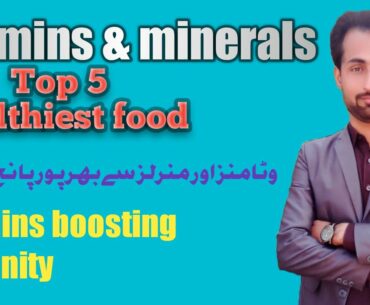 Top 5 food to boost immunity - Eat Healthy food-Food full of vitamins & minerals - save from disease