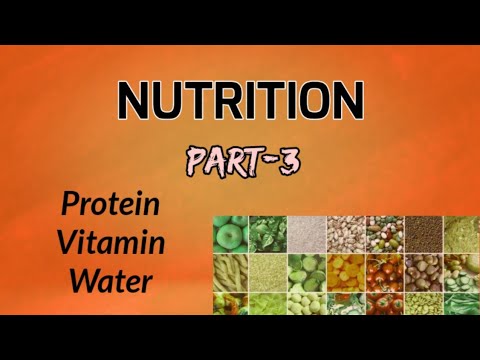 Nutrition Part 3, Component Of Food, Protein, Vitamin, Water