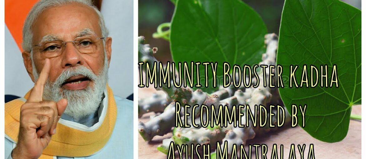 IMMUNITY Booster Gilloy kadha Recommend by Ayush Mantralaya | Fight Against COVID-19