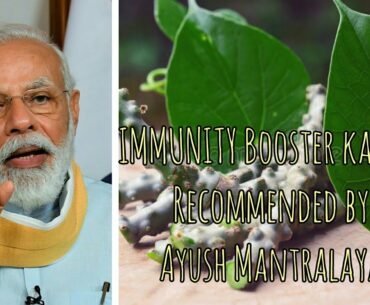 IMMUNITY Booster Gilloy kadha Recommend by Ayush Mantralaya | Fight Against COVID-19