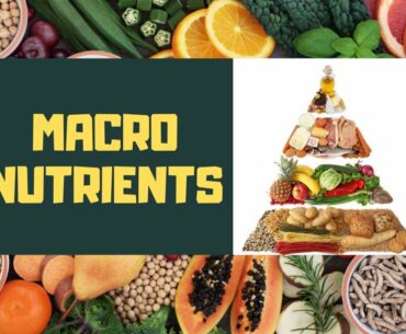 Macronutrients|in Hindi|FitAayam|Expanding Horizons Through Fitness|