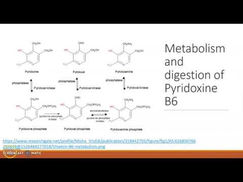 Pyridoxal B6 Vitamin Supplementation for Nausea During Pregnancy