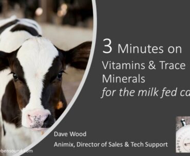 3 Minutes on Vitamin and Trace Minerals for the Milk Fed Calf